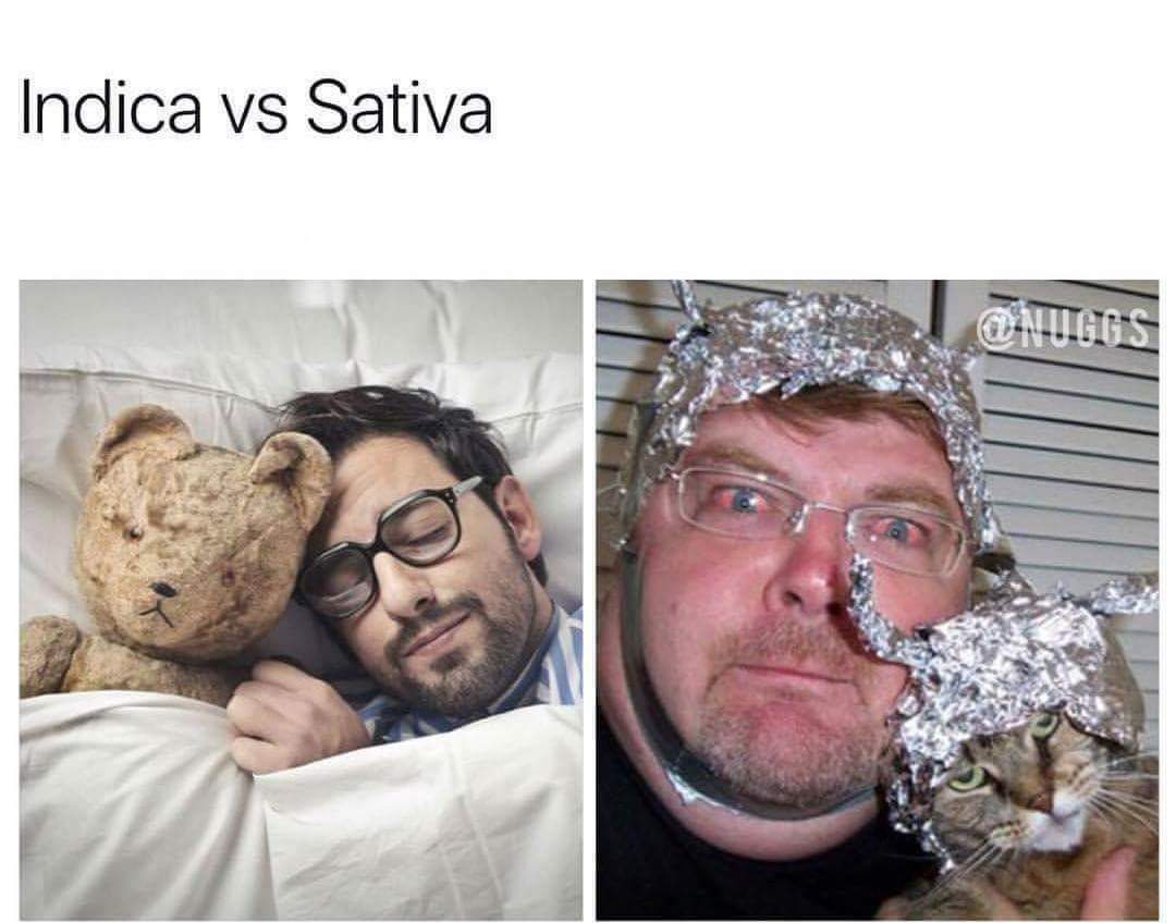 [mem]