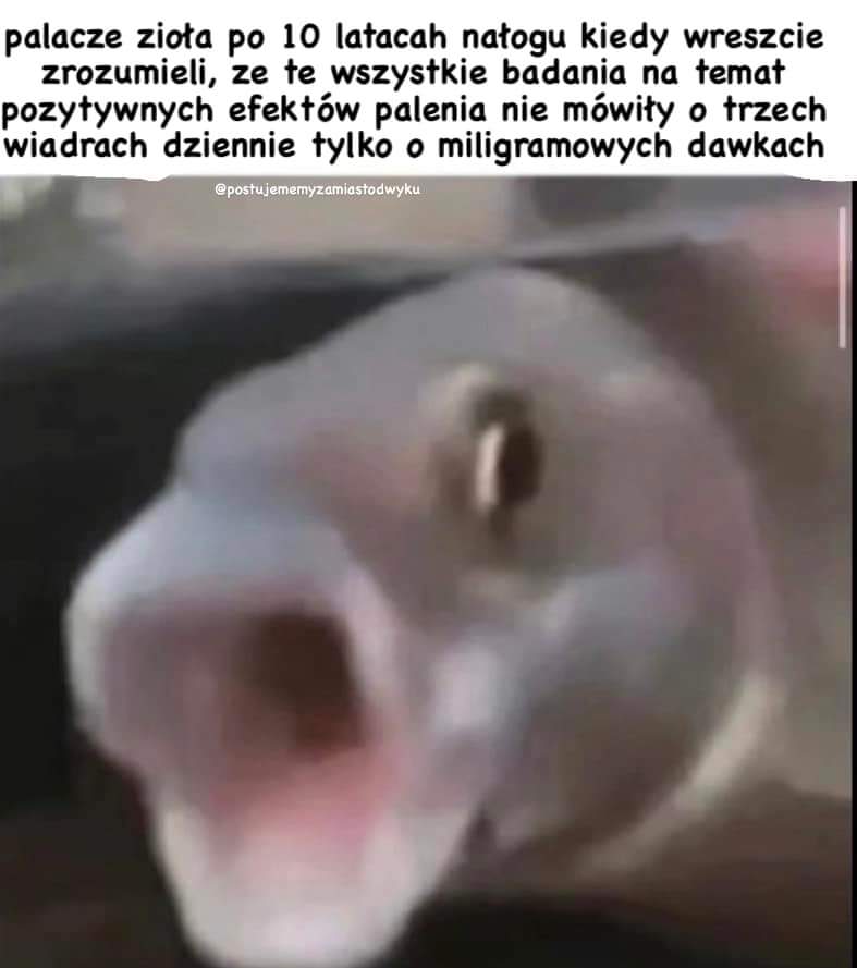 [mem]