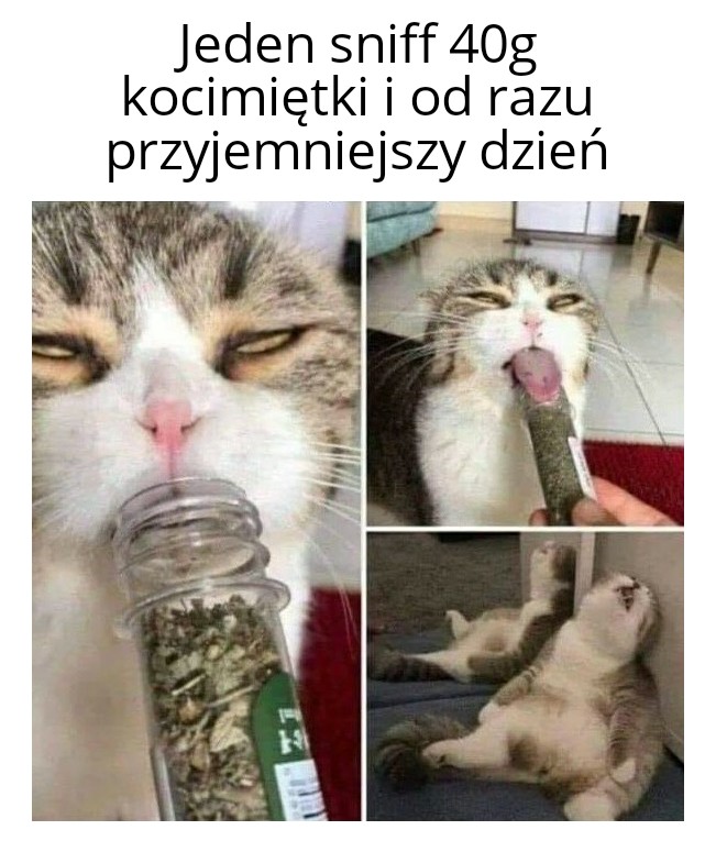 [mem]
