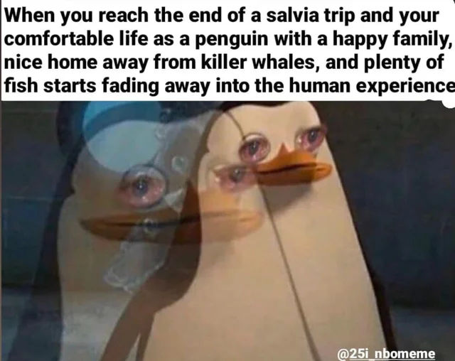 [mem]