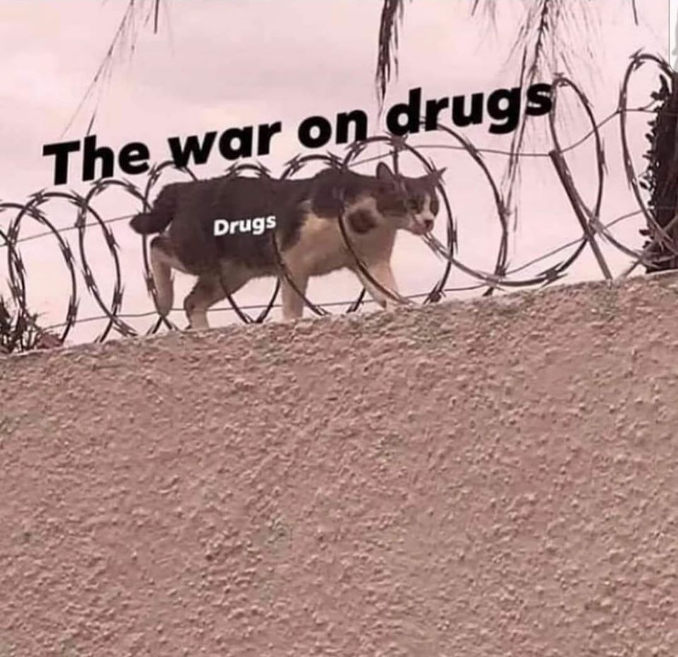 [mem]
