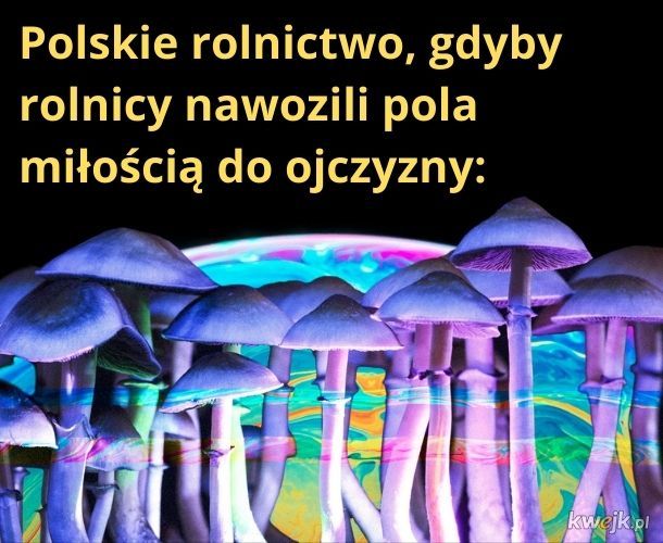 [mem]